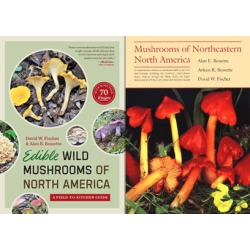 Edible Wild Mushrooms of North America Plus Mushrooms of Northeastern North America - Special Price