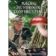 Taylor Lockwood's Macro Mushroom Confidential DVD  